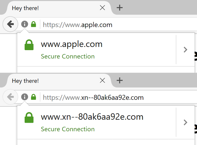 Browser bar on top prior to patching fo the IDN Attack. Lower bar shows what this now would look like
